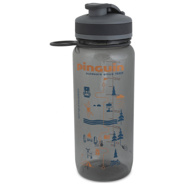 Tritan Sport Bottle 650 ml gray
