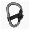 Smart HMS 2.0 Screwgate carabiner