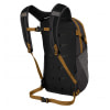 Daylite Ash/Mamba Black 13 L