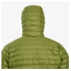 Icarus Lite Hoodie - alder green