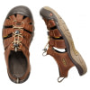 NEWPORT EVO M | brown
